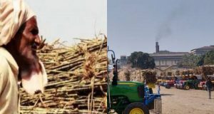 गन्ना मूल्य और बकाए के भुगतान के लिए किसानों ने बजाज चीनी मिल पर लगाए आरोप, उच्च न्यायालय से हस्तक्षेप करने की माँग